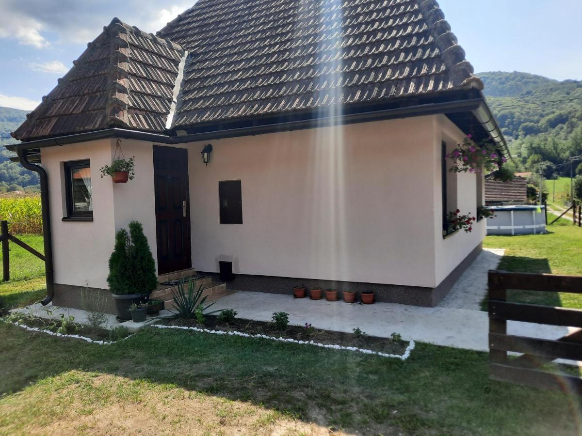 Drinski Oganj Kuca Za Odmor บายินา บาชตา ภายนอก รูปภาพ