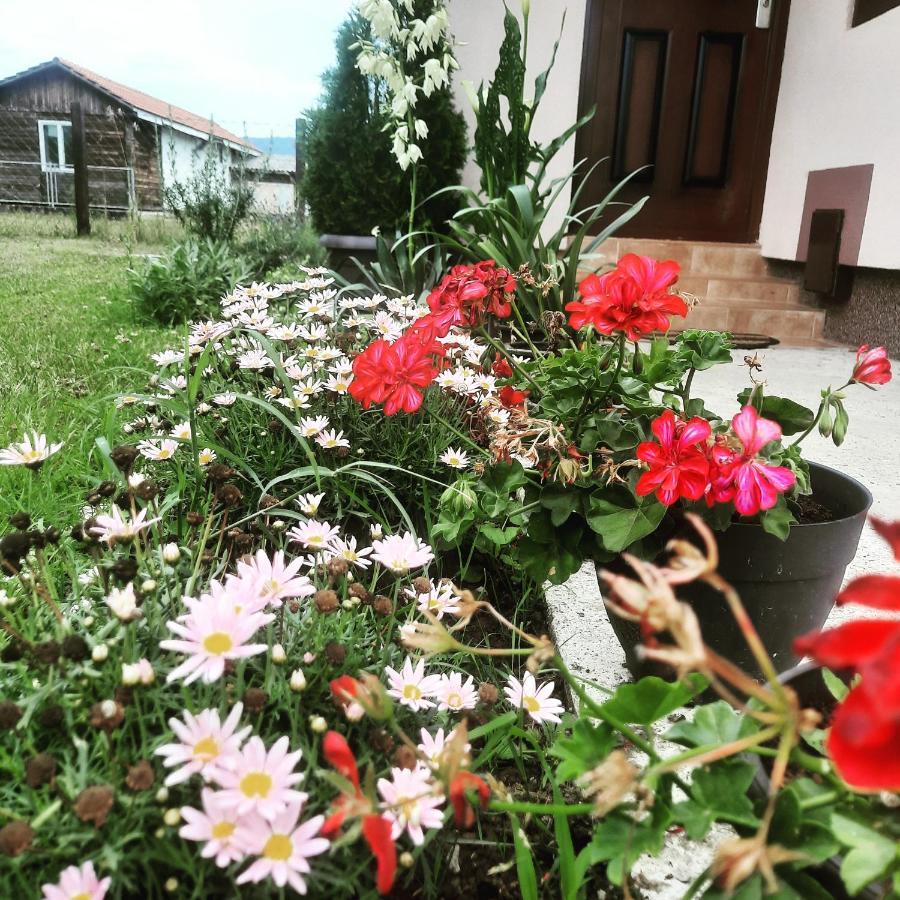 Drinski Oganj Kuca Za Odmor บายินา บาชตา ภายนอก รูปภาพ